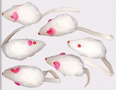 Myška plyšová 5cm, bílá