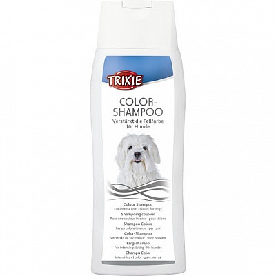 Color-Shampoo 250ml