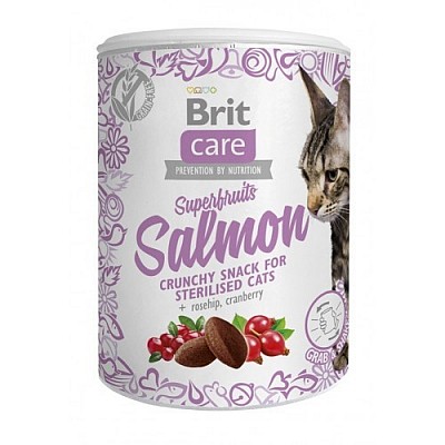 BRIT Care Cat snack Superfruits Salmon 100g