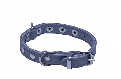 Obojek kožený d26cm/š10mm, Sunny, zdobený, šedý