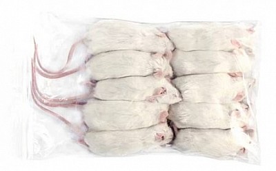 Myš malá +30g 50ks, mražená