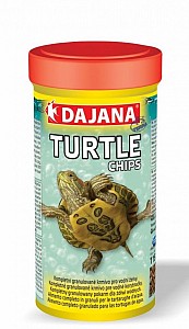 Turtle chips