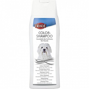 Color-Shampoo 250ml