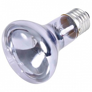 Neodymium Basking-Spot-Lamp 50W