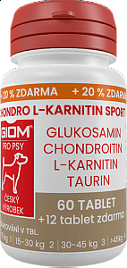 GIOM Chondro L-Karnitin Sport  60tbl