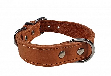 Obojek kožený d40cm/š26mm, Fido,koňak