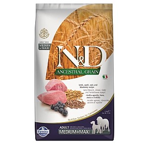 N&D Dog GrainFree Pumpkin Adult Medium/Large Lamb&Blueberry 12kg