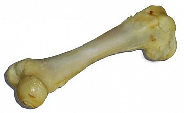 Vepřová kost extrudovaná 1ks/cca15-17cm