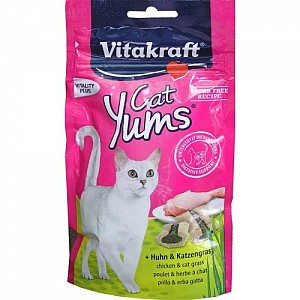 Vitakraft Yums Cat Chicken&Cat Grass 40g